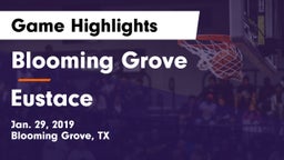 Blooming Grove  vs Eustace  Game Highlights - Jan. 29, 2019