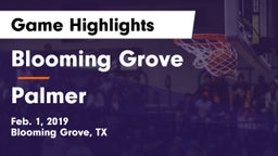 Blooming Grove  vs Palmer  Game Highlights - Feb. 1, 2019