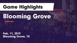 Blooming Grove  Game Highlights - Feb. 11, 2019
