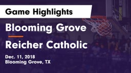 Blooming Grove  vs Reicher Catholic  Game Highlights - Dec. 11, 2018