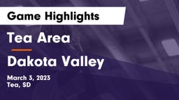 Tea Area  vs Dakota Valley  Game Highlights - March 3, 2023