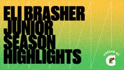 Eli Brasher Junior Season Highlights 