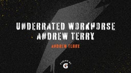 Underrated Workhorse Andrew Terry