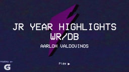 Jr Year Highlights WR/DB