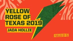 Yellow Rose Of Texas 2019