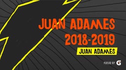 Juan Adames 2018-2019 Highlights
