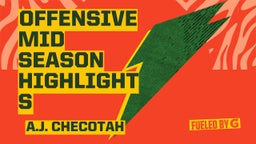 Offensive Mid Season Highlights