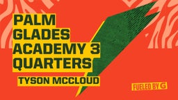 Tyson Mccloud's highlights Palm Glades Academy 3 quarters
