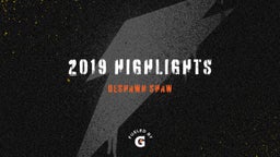 2019 Highlights 