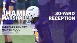 30-yard Reception vs Telfair County 