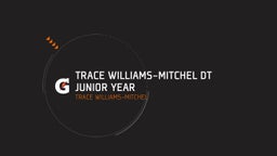 Trace Williams-Mitchel DT Junior Year