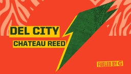 Chateau Reed's highlights Del City