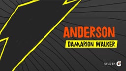 Damarion Walker's highlights Anderson