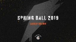 Spring Ball 2019