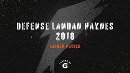 defense Landan Haynes 2018