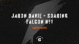 JaRon Davie - Soaring Falcon #1