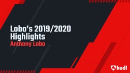 Lobo’s 2019/2020 Highlights 