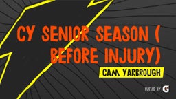 CY Senior Season ( before injury)