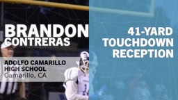 41-yard Touchdown Reception vs Millikan 