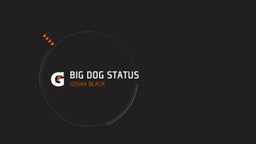 Big Dog Status
