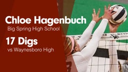 17 Digs vs Waynesboro High