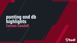 punting and db highlights 
