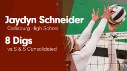 8 Digs vs S & S Consolidated 