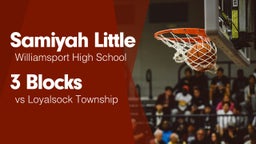 3 Blocks vs Loyalsock Township 