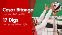 17 Digs vs Spring Valley High