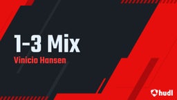 1-3 Mix