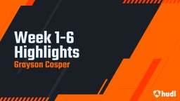 Week 1-6 Highlights 