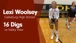 16 Digs vs Valley View 