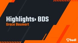 Highlights: BDS