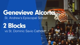 2 Blocks vs St. Dominic Savio Catholic 