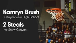 2 Steals vs Snow Canyon 