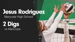 2 Digs vs Maricopa 