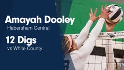 12 Digs vs White County 
