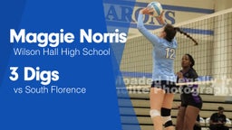 3 Digs vs South Florence 