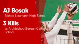 3 Kills vs Archbishop Bergan Catholic School