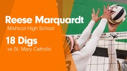 18 Digs vs St. Mary Catholic 