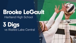 3 Digs vs Walled Lake Central