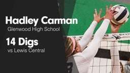 14 Digs vs Lewis Central 