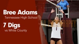 7 Digs vs White County 