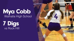 7 Digs vs Rock Hill