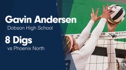 8 Digs vs Phoenix North 