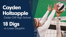 18 Digs vs Lower Dauphin 