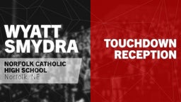  Touchdown Reception vs Bancroft-Rosalie/Lyons-Decatur Northeast