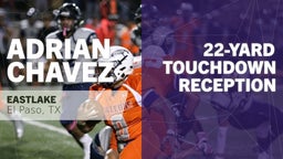 22-yard Touchdown Reception vs Horizon 
