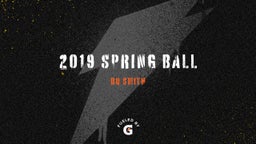 2019 Spring Ball 