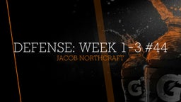 Defense: week 1-3 #44